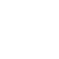 Fire icon