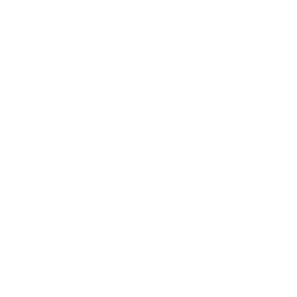 Tax icon